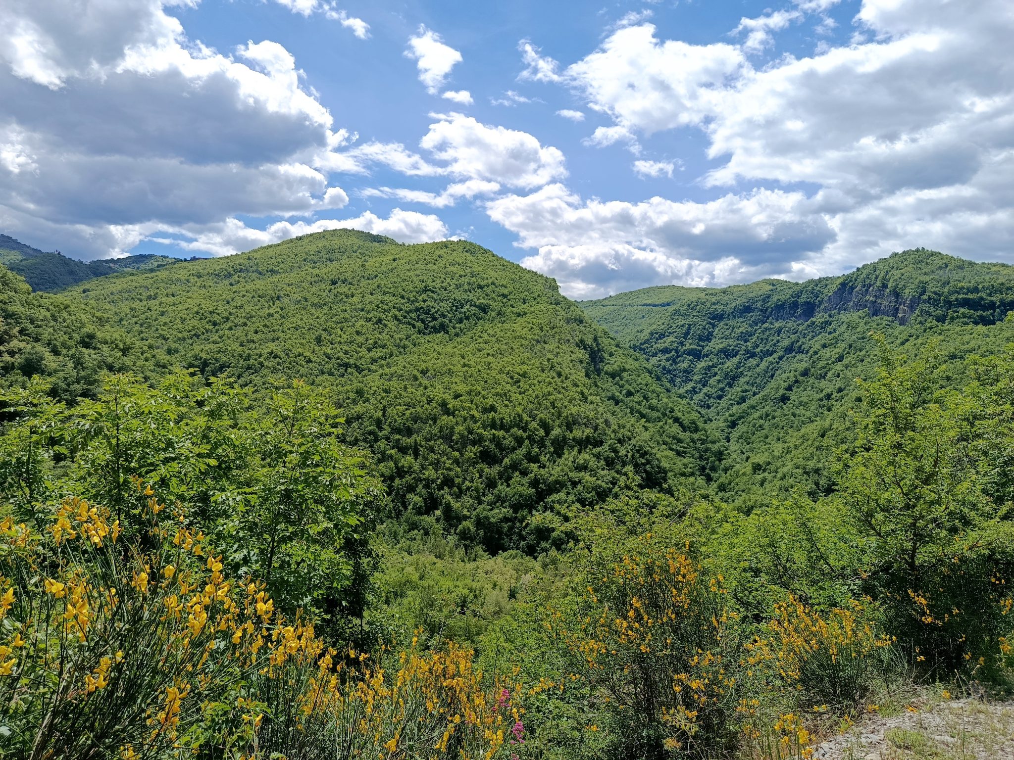 natral valley